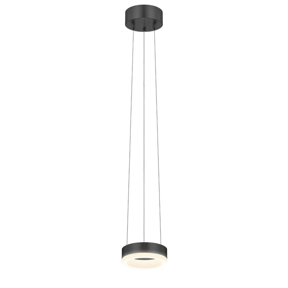 6" LED Ring Pendant