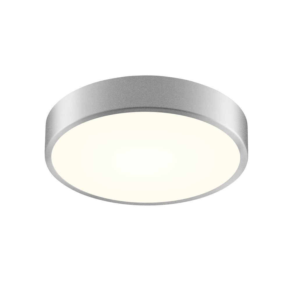 12" LED Surface Mount