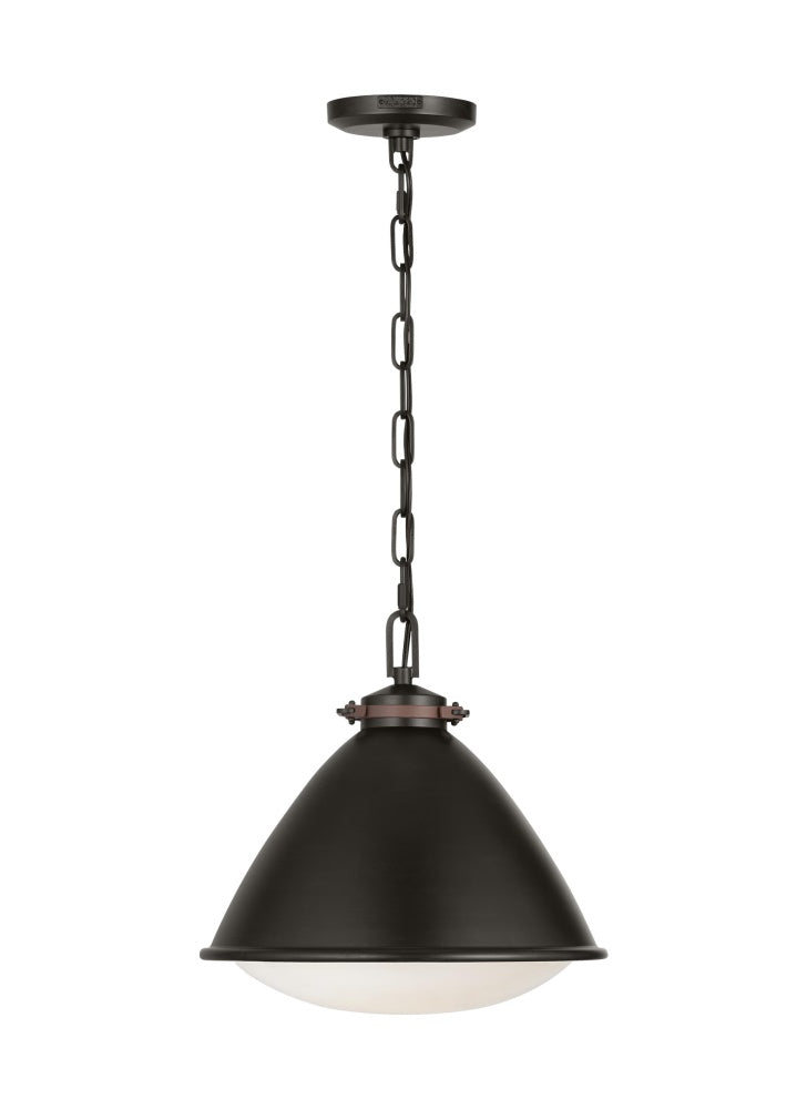 HAYWARD 1L MD PENDANT AI