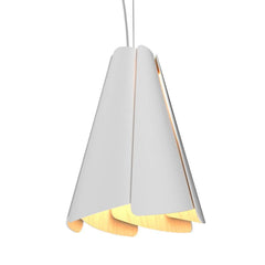 Pendants-Accord Lighting-1363