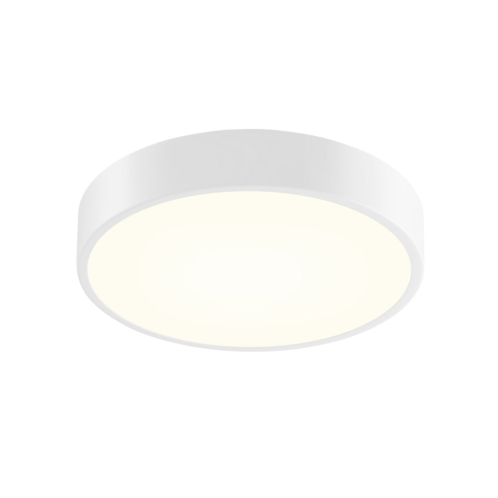 12" LED Surface Mount