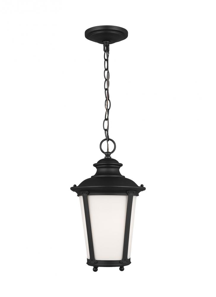 Pendants-Generation Lighting-62240-12