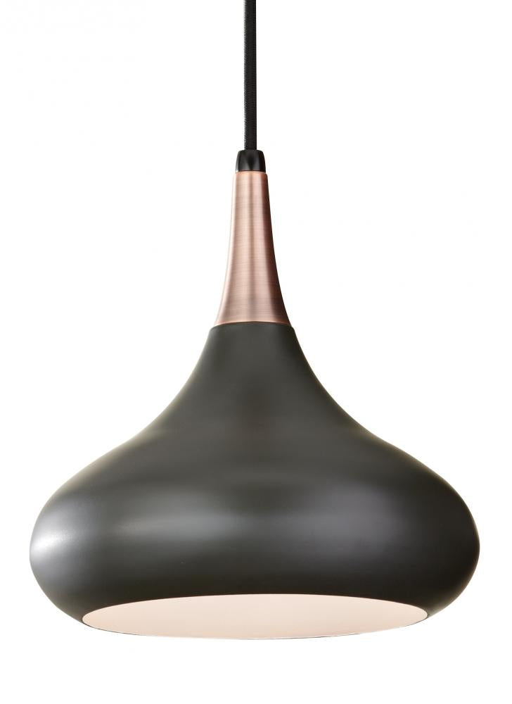 Pendants-Generation Lighting-P1253DBZ