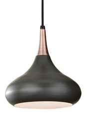 Pendants-Generation Lighting-P1253DBZ