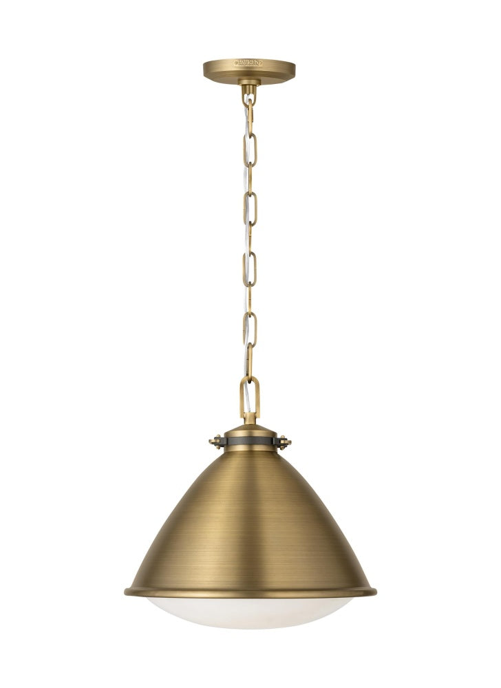 HAYWARD 1L MD PENDANT TWB